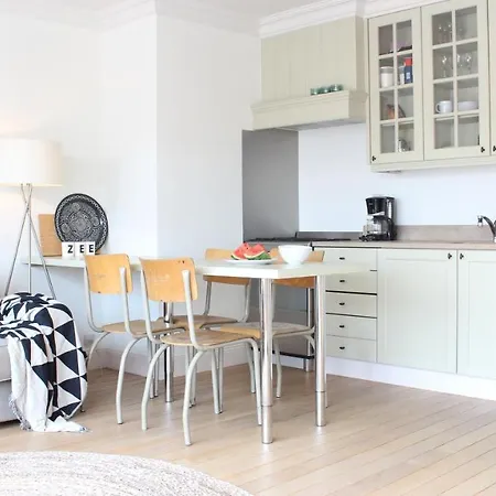 Appartement Dakappartementje Met Zuid Terras Op 50m Van De Zee!